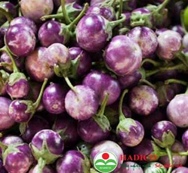Cà tím tròn (1kg)