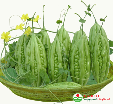 Quả mướp đắng (1kg)