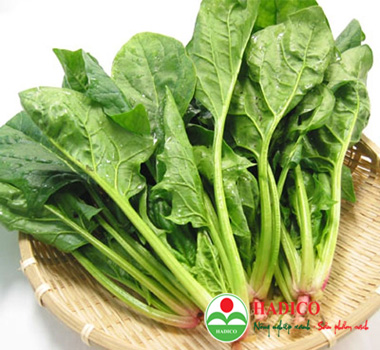 Rau cải bó xôi (1kg)