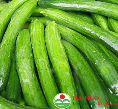 Quả Dưa chuột (1kg)