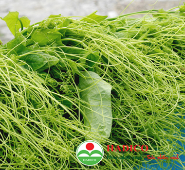Ngọn su su (1kg)