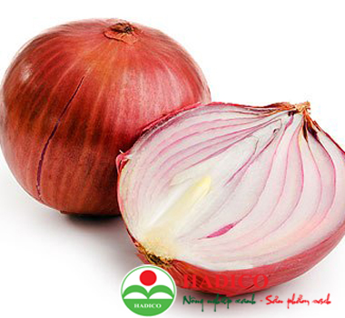 Củ hành tây (1kg)