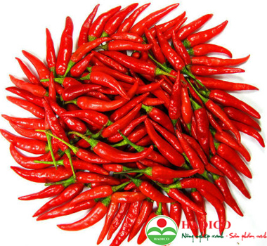 Quả ớt kim (1kg)
