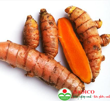 củ nghệ (1kg)