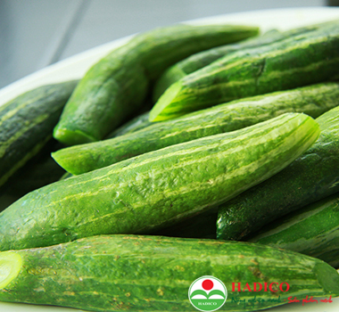 Quả lặc lày ( Mướp ngọt)