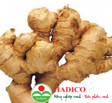 Củ gừng (1kg)