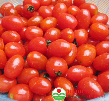 Cà chua bi (1kg)