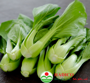 Rau cải chíp (1kg)