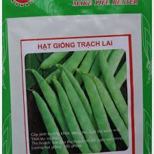 Hạt đậu trạch lai
