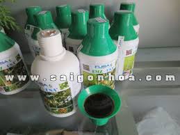 Phân hoa cây cảnh SG